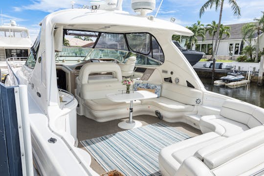 *** 60' Luxury SeaRay Yacht - Up to 13 guests! 