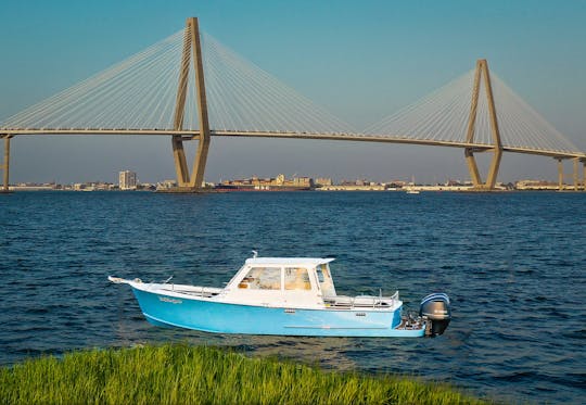 Crucero privado con delfines/eco/barco turístico en el puerto de Charleston