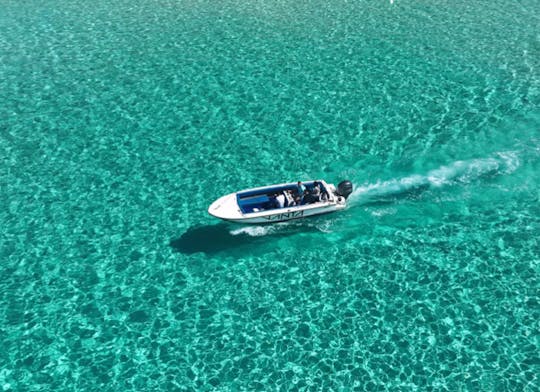 Vanta Charters- Coronet Open Boat - Bahía de San Pablo- 10 pasajeros