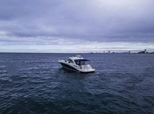 Yacht de luxe Sundancer de 48 pieds pour Mazatlan Charter