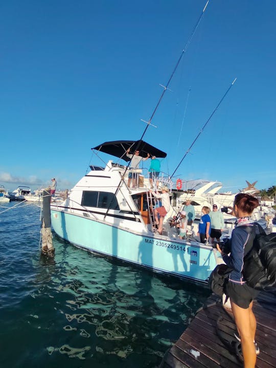 Excursion de pêche Bertram 35 pieds à Cancún, Quintana Roo