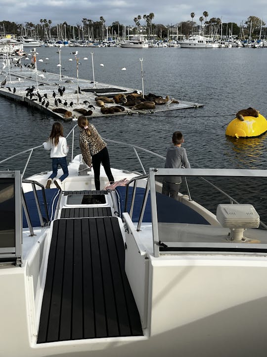 Cruise San Diego Bay on a private yacht!