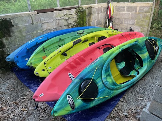 Hasta seis (6) kayaks para alquilar cerca del río Brandywine