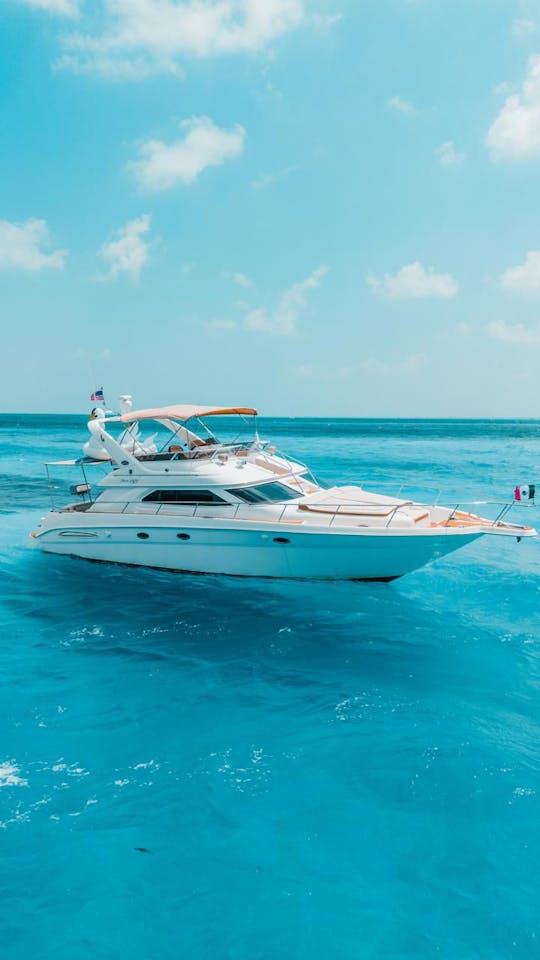 Sea Ray Sedanbridge 50' Visit Isla Mujeres from Cancun