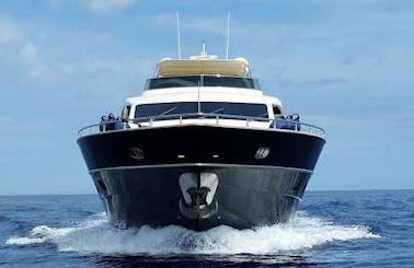 Experience Luxury Yacht Cruise at San Jose del Cabo