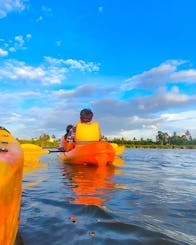 Kayak Renting in Negombo Lagoon
