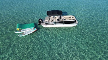 Excursões à Ilha do Caranguejo/avistamentos de golfinhos/cruzeiros ao pôr do sol em Destin, FL