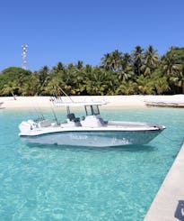 Charters de pêche et excursions | Console centrale Naarehi Marine Sportfish 280