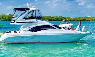 Luxury Yacht Sea Ray 42