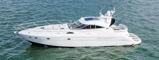 Amazing 65'Luxury, Motor Yacht In Miami, Florida!!