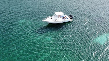 Excursão particular de mergulho com snorkel e passeio turístico com o Stratos 2700 Walk Around Boat!