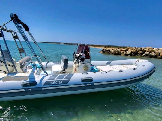 Bsc 61 RIB for 6 available on Limassol area
