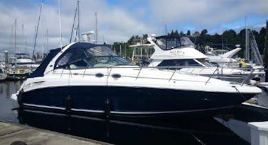 O iate a motor Sundancer Sea Ray 360 Maximun Loa de 39 pés espera por você!