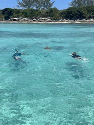 Pleasure Private Tours on Rose Island and Gilligan Island, Swimming Pigs 