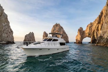 IATE DE PESCA DE LUXO SEA YA LATER EM LOS CABOS