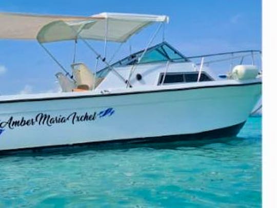 27FT OCEAN in Cancún - up to 8 people capacity!
