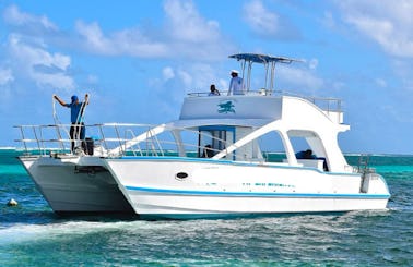 Punta Cana's favorite Catamaran with Professional Captain and Crew | 80 People