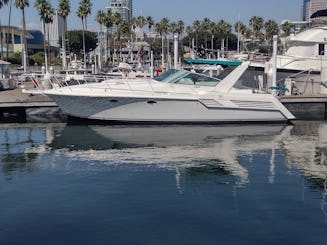 Yacht à moteur Bertram Trojan de 42 pieds à Los Angeles