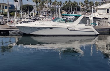 42 Foot Bertram Trojan Yacht Anchor And Party Trip In Los Angeles