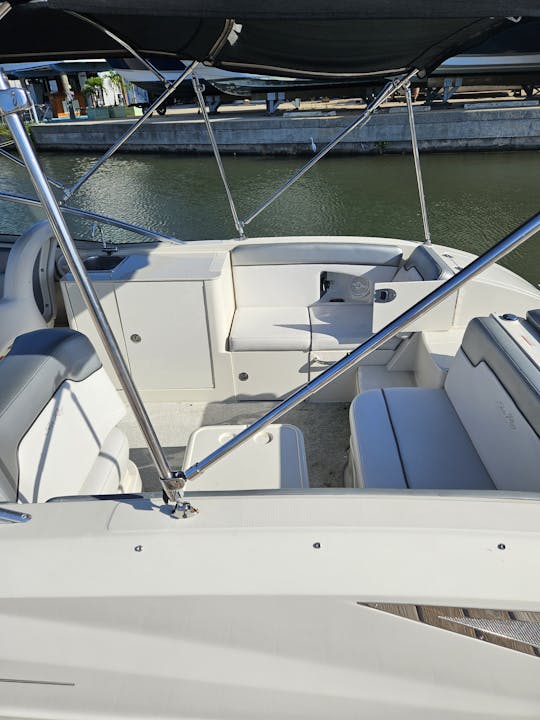 Disfruta de este yate Sea Ray Sundeck de 30 pies en Tampa