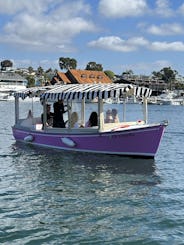 Pretty in Pink 21 Foot Duffy | Driver Included in Price (Up to 12 Guests)