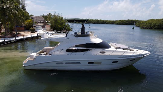 AMASIVAR | High-end Sea Line 45 ft Yacht at your service in Cancun.