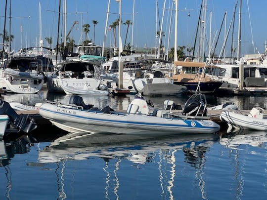 Le RIB ultime pour la plongée et l'entraîneur