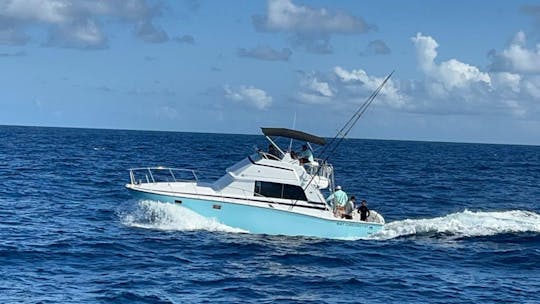 Excursion de pêche Bertram 35 pieds à Cancún, Quintana Roo