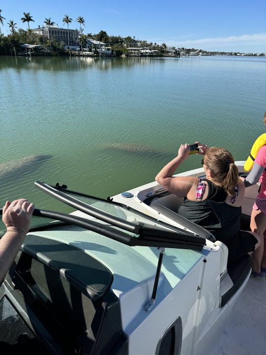 Location d'un bateau avec capitaine de Cape Coral à destination de Cabbage Key, excursion avec les dauphins, North Captiva 