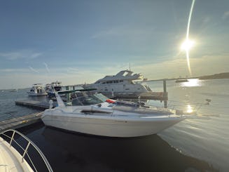 Private Charter in Boston Aboard Our Sleek 34ft Sea Ray Yacht