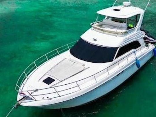 «Disfrute de Miami: Sea Ray 52 Yacht: ¡grandes descuentos! ¡Pregunte ahora para obtener la mejor oferta!»