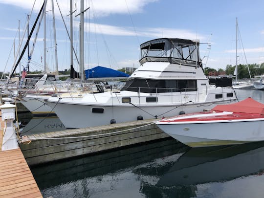 36ft Carver In Toronto Available For Private Charters