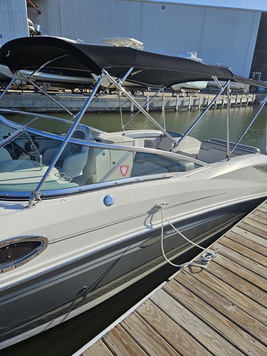 Enjoy this 30' Sea Ray Sundeck Yacht in Tampa