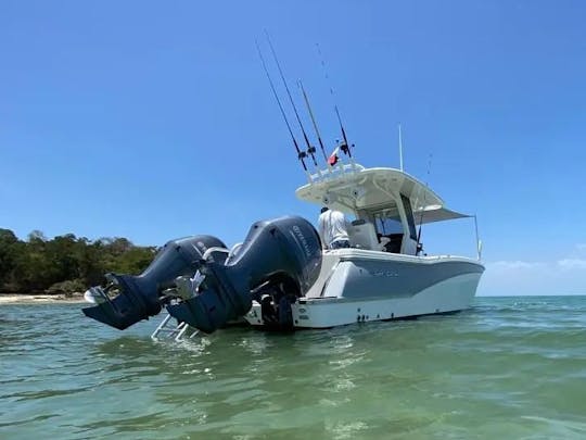 Passeio privado de barco de dia inteiro para Las Perlas e Contadora com a World Cat de 28 pés