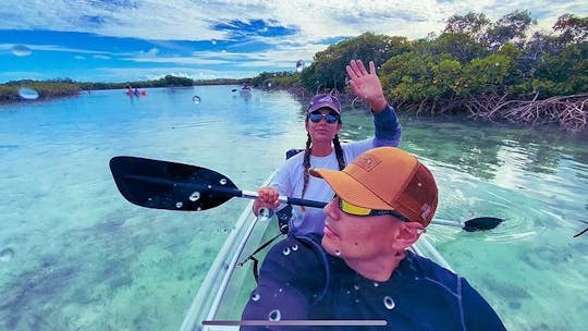 Excursión ecológica de 2 horas a Clear Kayak Mangrove Cay