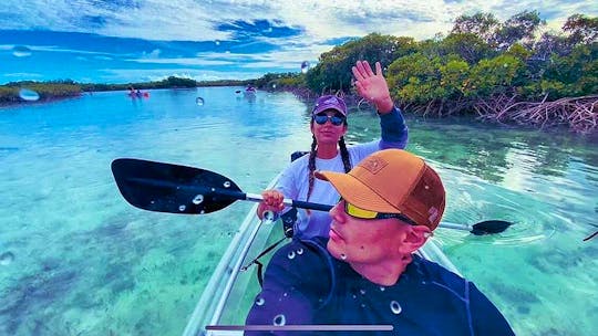 Clear Kayak Mangrove Cay Eco Venture 2-hour tour