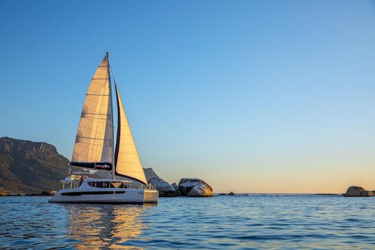 Catamarã Leopard 45