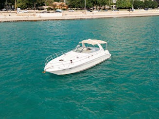 Profitez de Chicago ! Magnifique yacht Sea Ray de 46 pieds, parfait pour les fêtes 