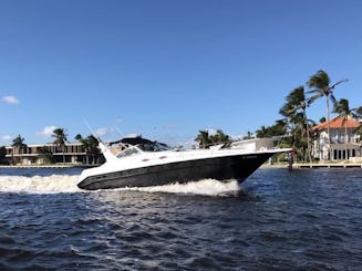 Soleil, divertissement et détente : croisière intercôtière Sea Ray de 33 minutes