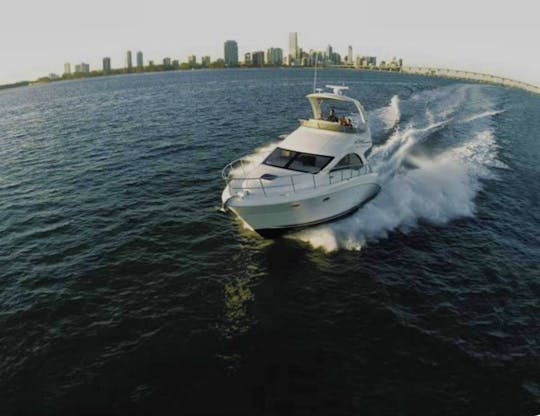 40$/HOUR !⚓️BOOK THIS FLY BRIDGE TODAY!CHEAPEST RATES IN TORONTO!15 passenger🛥️