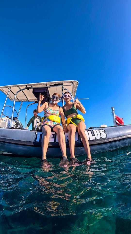 Turtle Canyon Snorkel Private Tour on 32ft high-speed Zodiac Raft Boat 