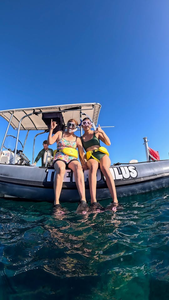 Waikiki Snorkel Boat Tour