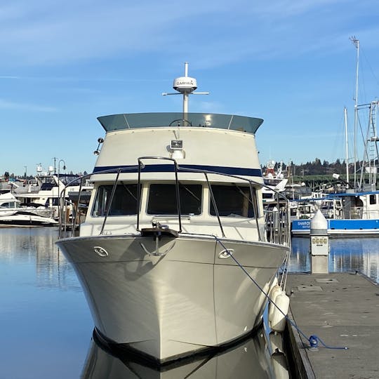 Visitas guiadas privadas de 2 a 3 horas por las pintorescas vías fluviales de Seattle