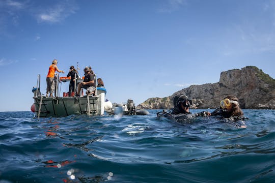 L'ESTARTIT: SNORKEL ECOLÓGICO EN LAS ISLAS MEDAS