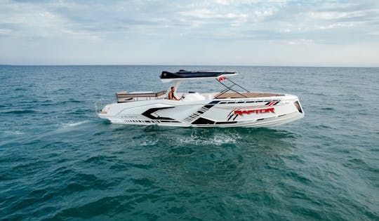 Raptor - Raptor Excursion Boat