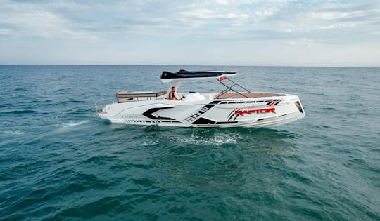 Alestra Marine Raptor Excursion Boat