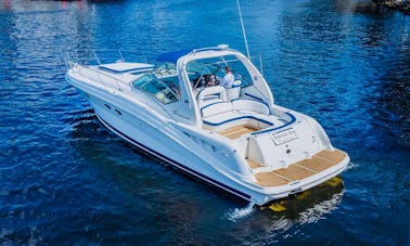 [50' SeaRay] No Hidden Fees - Totals are Listed Below!