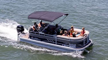 Sun tracker/private tours/bachelorette/celebration/sandbar/dolphin/sunset/family