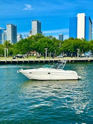 Rent This Beautiful Sea Ray Amberjack 31ft Boat