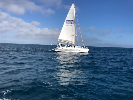 Luxury Sailing in Catamaran in the Canary Islands